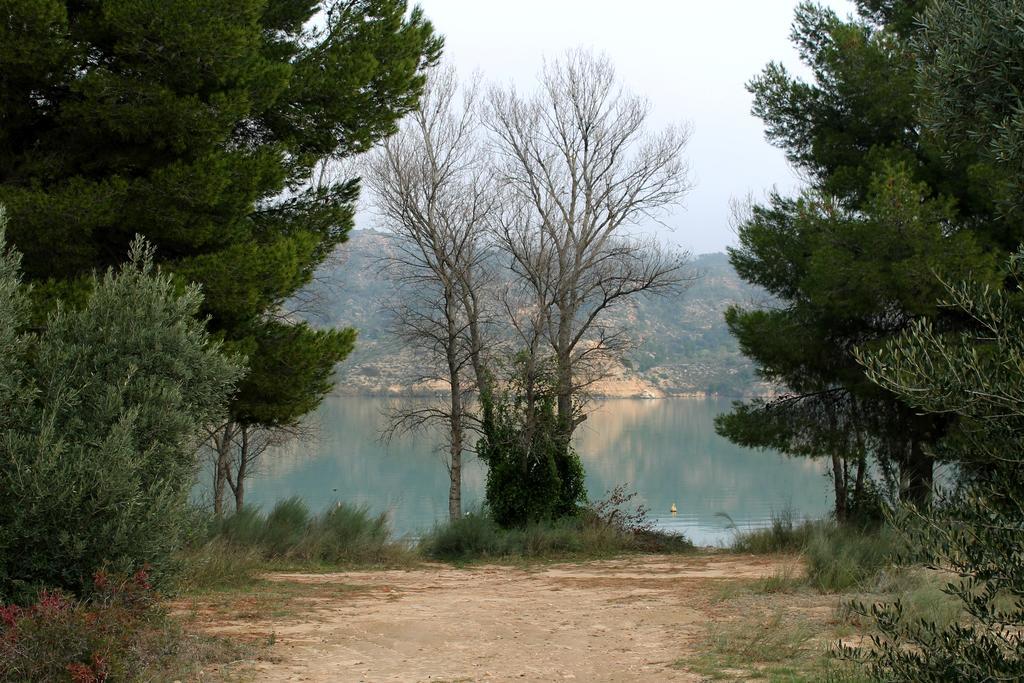 Camping Riba-Roja Cameră foto